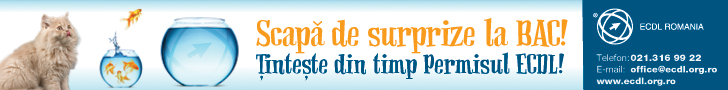 competente digitale