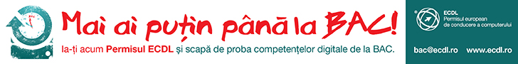 competente digitale